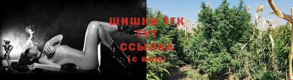 стафф Саки