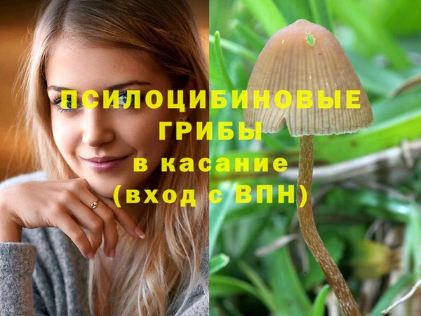 каннабис Сясьстрой