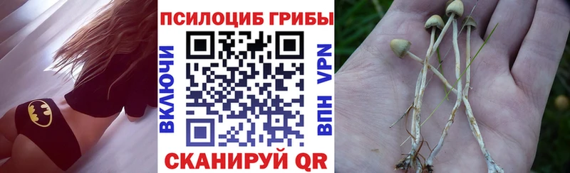 Галлюциногенные грибы ЛСД  наркошоп  Трубчевск 